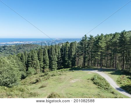 Small road going into a forest with a view on the shore