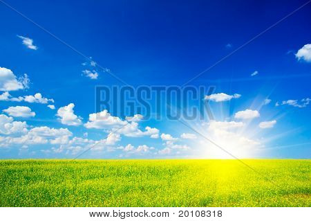 Vidunderlige Rapefield og Cloudscape med solstråler.
