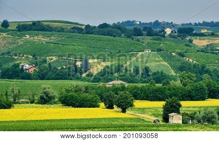 Rural landscape at summertime along the road from Ganaghello to Vicobarone (Piacenza Emilia Romagna Italy) in the Tidone valley