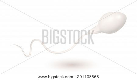 Sperm icon isolated on white. Vector illustration.