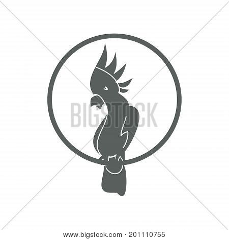 Parrot on white background abstract vector illustration