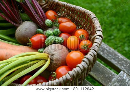 Beetroot, Tomatoes, Cucamelons And Carrots In A Wicker Basket