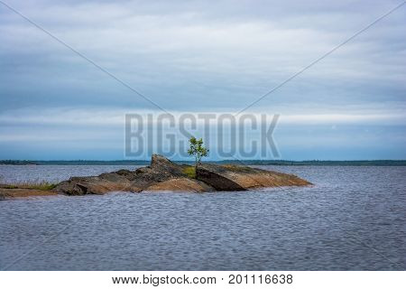 Lonely Tree On A Small Rocky Island.