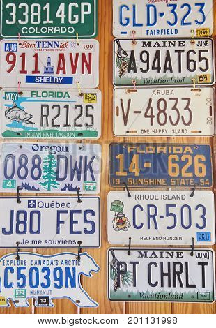 License Plates as wall decorations at Sweet Scoops Ice Cream Shop in St. Charlotte florida