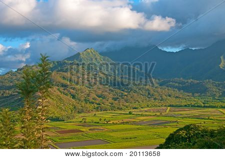 山、 云与热带字段