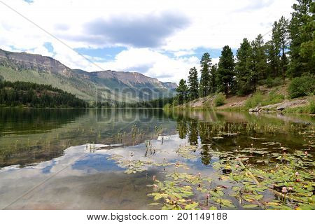 Summer at Haviland Lake in Durango, CO