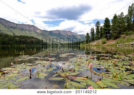 Summer at Haviland Lake in Durango, CO