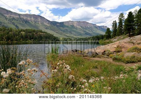 Summer at Haviland Lake in Durango, CO
