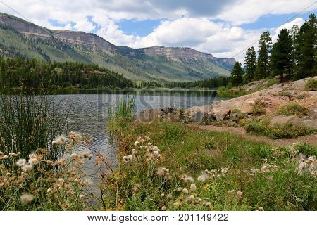 Summer at Haviland Lake in Durango, CO