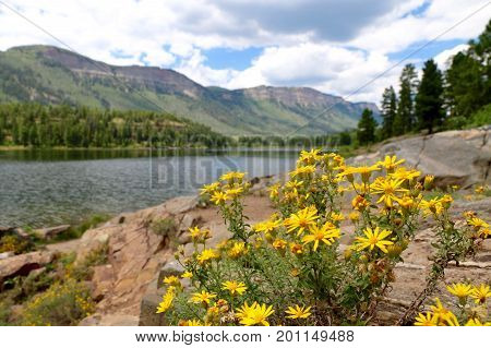 Summer at Haviland Lake in Durango, CO