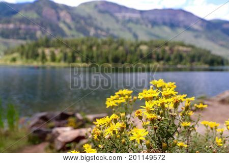 Summer at Haviland Lake in Durango, CO