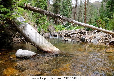 Creek at Elwood Pass in Pagosa Spring, Colorado