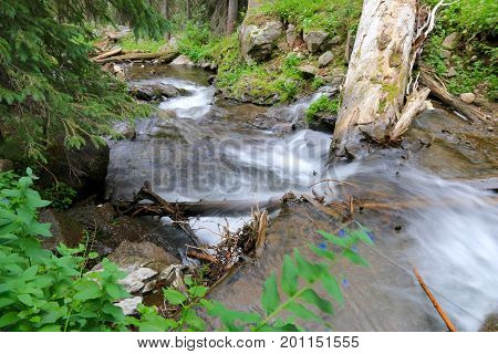 Creek at Elwood Pass in Pagosa Spring, Colorado