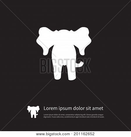 Proboscis Vector Element Can Be Used For Elephant, Trunked, Proboscis Design Concept.  Isolated Elephant Icon.