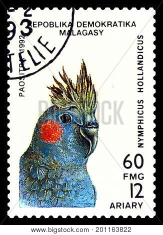 STAVROPOL RUSSIA - August 20 2017: A stamp printed by Malagasy shows bird an parrot Nymphicus Hollandicus circa 1992