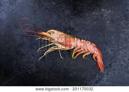 Raw black tiger prawn as top view on a black board 