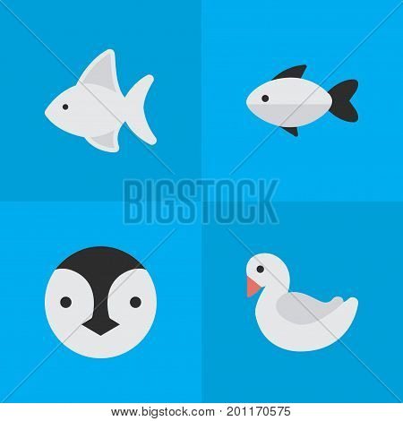 Elements Perch, Swan, Flightless Bird And Other Synonyms Swan, Penguin And Seafood.  Vector Illustration Set Of Simple Zoo Icons.