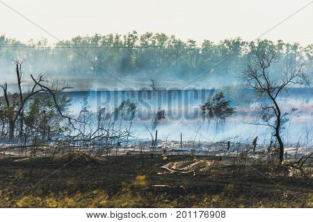 Smoke spreads over the scorched earth from natural summer fires caused by heat