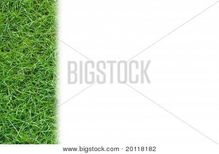 Green Grass hintergrund isoliert