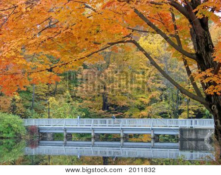 Jesień chodnik