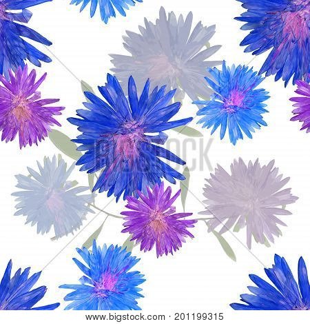 Aster Michaelmas daisy. Texture of flowers. Seamless pattern for continuous replicate. Floral background photo collage for production of textile cotton fabric. For use in wallpaper covers