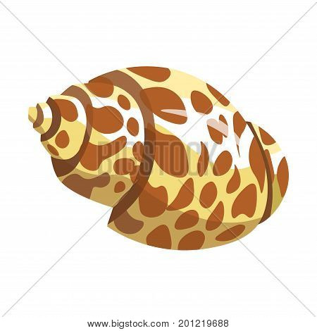 Shell or seashell and sea or ocean mollusk with spotted natural pattern Bivalve and gastropod shell different shape or type. Vector isolated flat icon