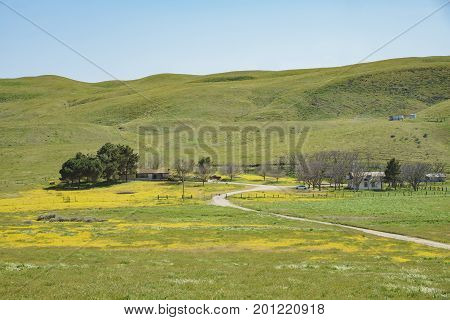House With Goldfields And Mountain