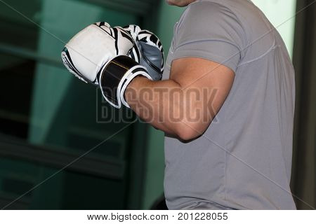 Pugilist with White Gloves indoor Boxe, Sport Theme