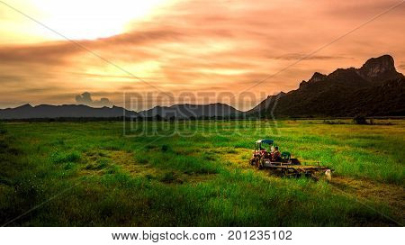 Aerial View Landscape Sunset farmer Clear Area Before planting