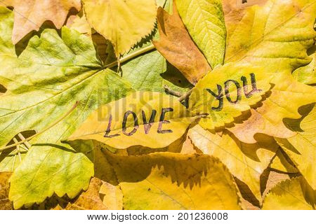 Yellow Leaf With An Inscription Love You