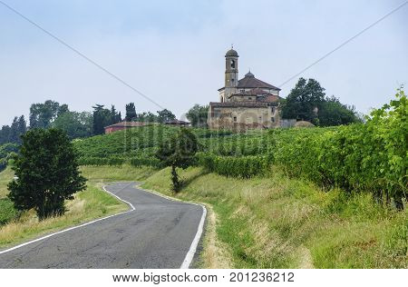 Rural landscape at summertime along the road from Ganaghello to Vicobarone (Piacenza Emilia Romagna Italy) in the Tidone valley. Vineyards