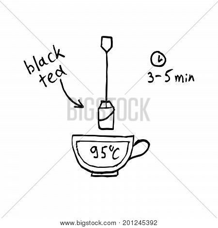 Tea making instruction how to brew black tea. Hand drawn vector illustration.