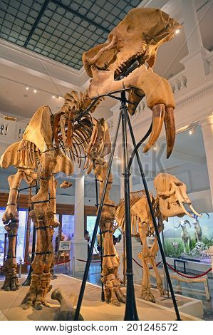 Bucharest Romania July 29th: Inside the National Museum of Natural History Bucharest. Shot talek on July 29th 2014