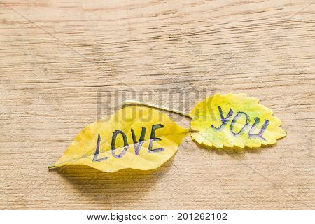 Yellow Sheet With The Inscription Love You
