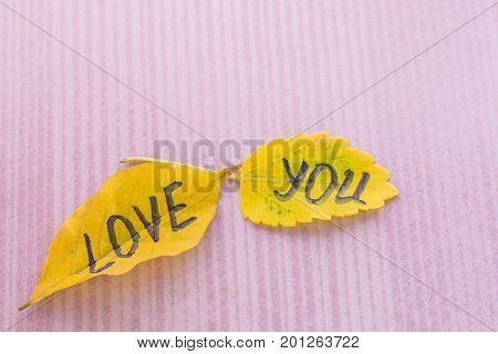 Yellow Leaf With An Inscription Love You