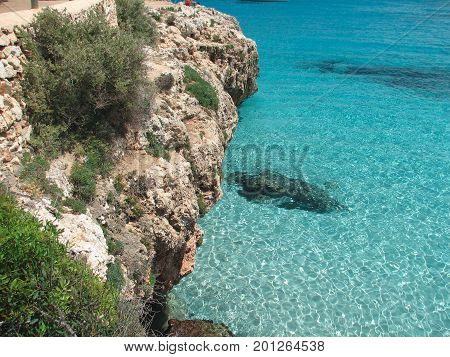 Cliffs on the coast of the Malorca Island southeast
