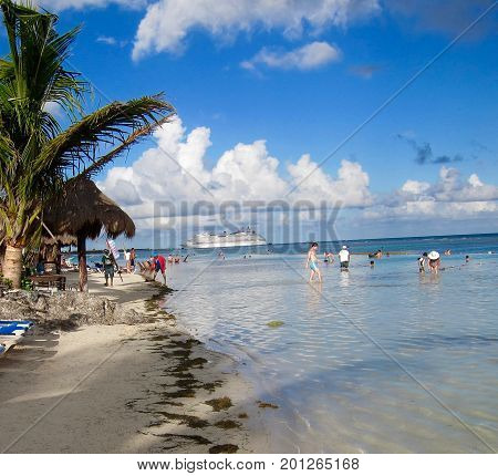 Beach scene includes palm tree, sand, water, and ship