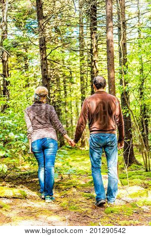 Back of young couple holding hands walking through fairy tale forest with mossy ground in West Virginia