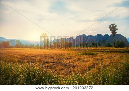 Rural landscape. Fields in season Natural rocky mountains