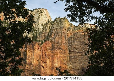 Canyon photographed in Zion National Park in Utah USA.