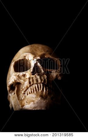 Halloween Skull. Spooky Halloween Skull isolated on black. Scary Halloween with room for text. Human Skull. Human Head