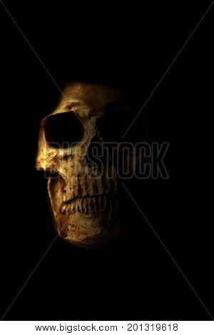 Halloween Skull. Spooky Halloween Skull isolated on black. Scary Halloween with room for text. Human Skull. Human Head