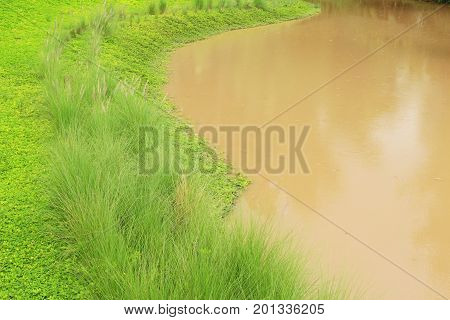 Rural cannal with the nature is beautiful