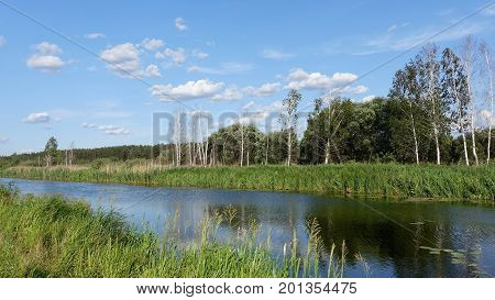 a sunny summer day on the Small River, Overgrown With Reeds and Forest on the Shore