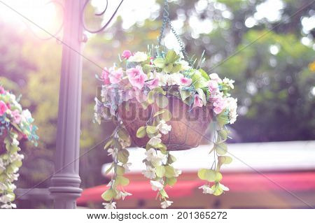 A bucket of some flowers with flare