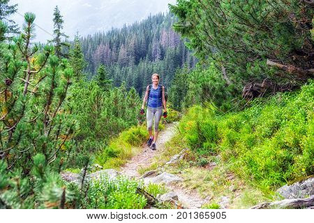 Hiker woman on hiking trail in forest at valley Koprova dolina in High tatras mountains Slovakia