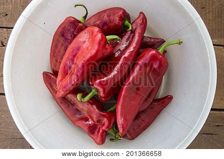Red Hot Chili Peppers on white background 
 capia peppers in the plate