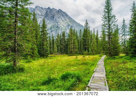 Empty hiking trail in forest at valley Koprova dolina at High Tatras mountains Slovakia