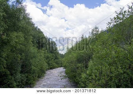 Mountain river among the green flows to the mountain Caucasus Russia