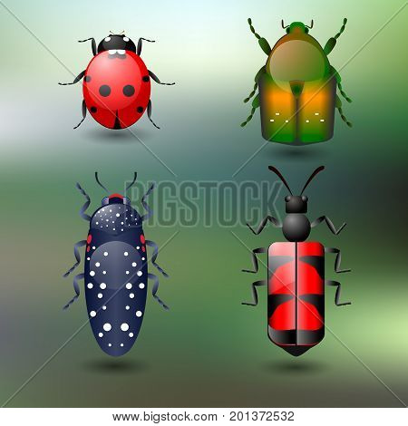 Four bright colored beetles on green background